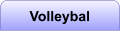 Volleybal