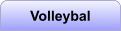 Volleybal