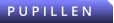 P U P I L L E N